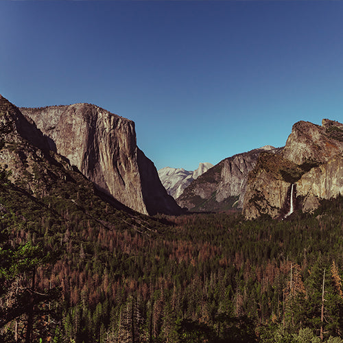 Yosemite National Park