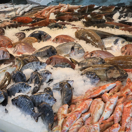 Fresh Seafood Counter 