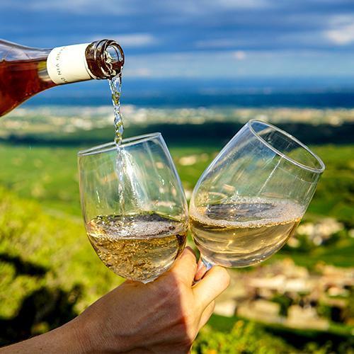 What's the best wine for a picnic