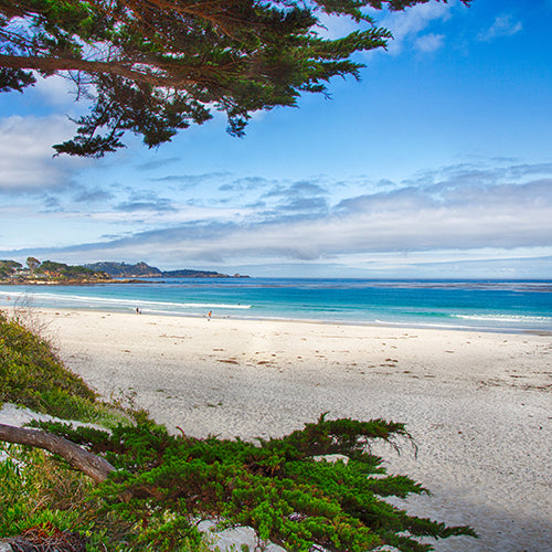 Beach at Carmel by the Sea