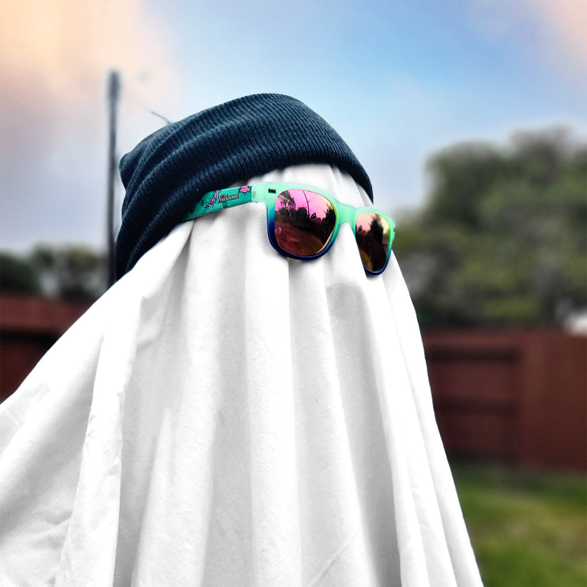 Trick or Treat!
