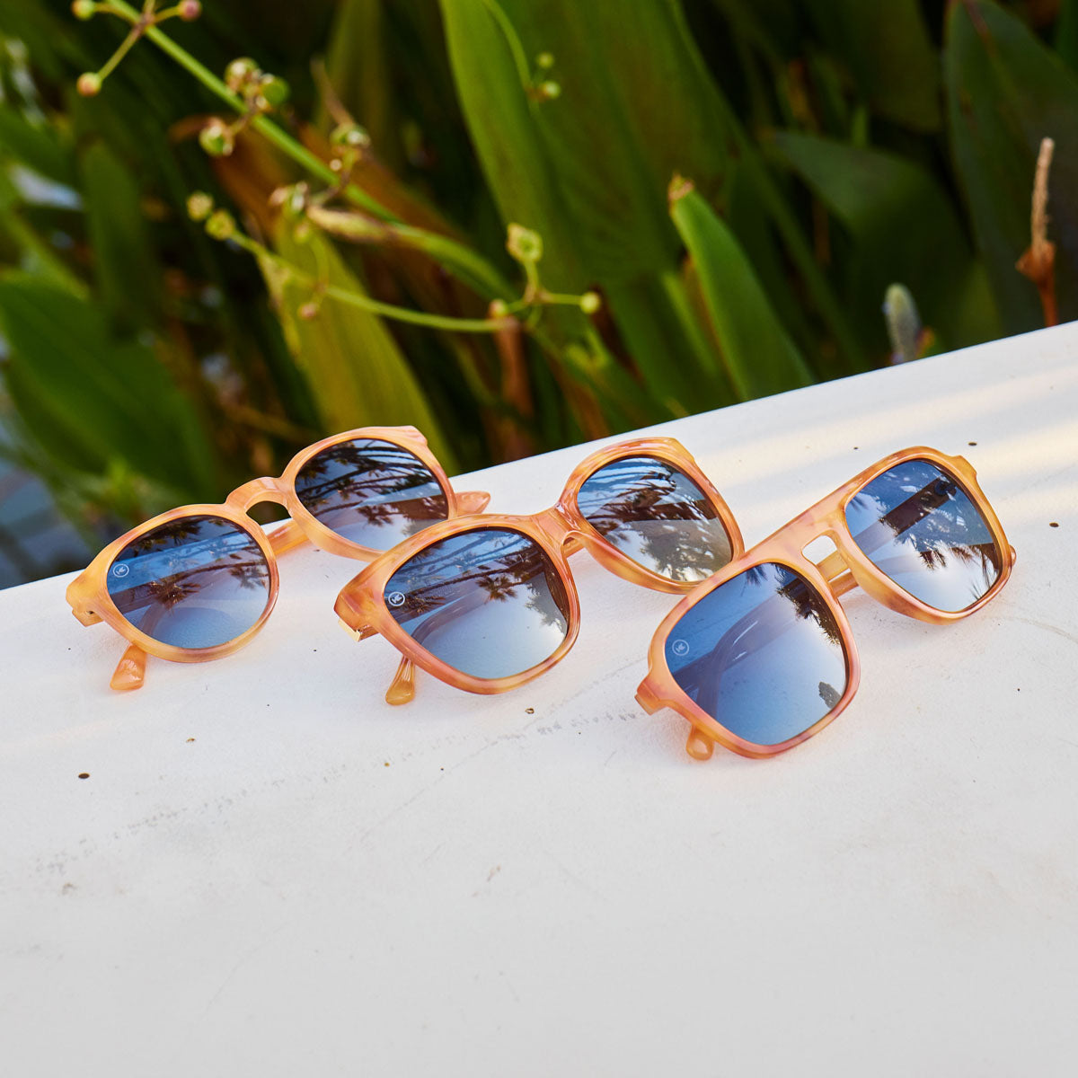 Featuring the Sienna Tortoise Shell colorway in three different frames, Tide Pools, Deja Views, and Pacific Palisades Sunglasses
