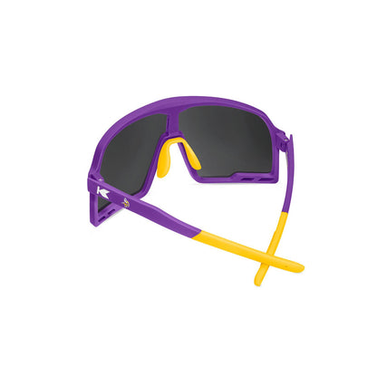 Minnesota Vikings Campeones Sunglasses, Back
